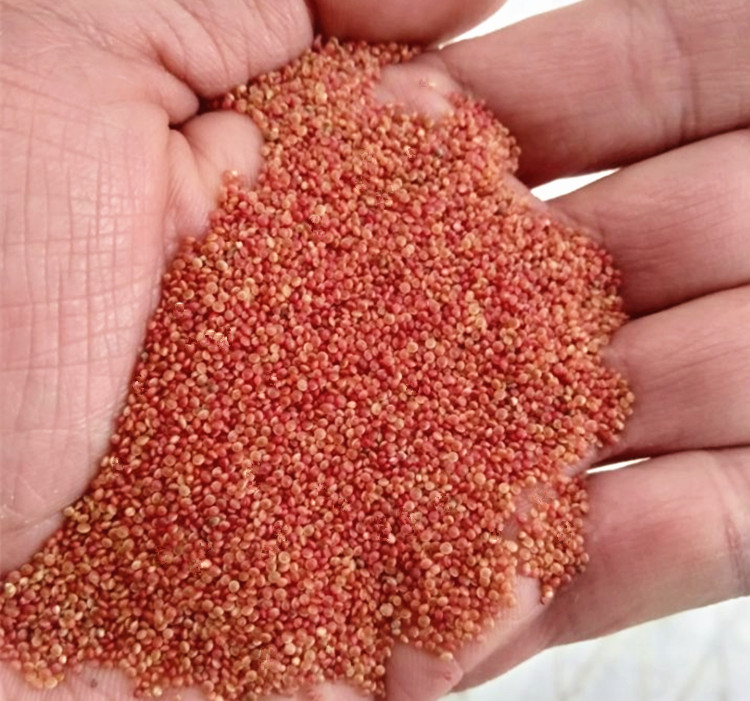 广西巴马红小米原生态红米五谷杂粮粗粮粥天然粮食2斤【图片 价格