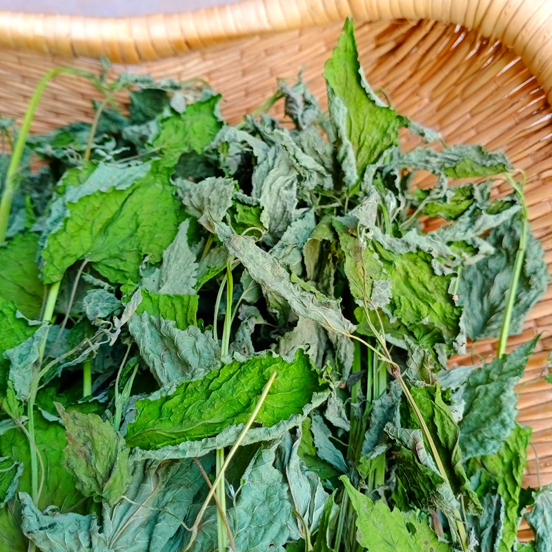 伟博新鲜晒干河南五香叶藿香叶农家无硫好味道150克做鱼炖汤