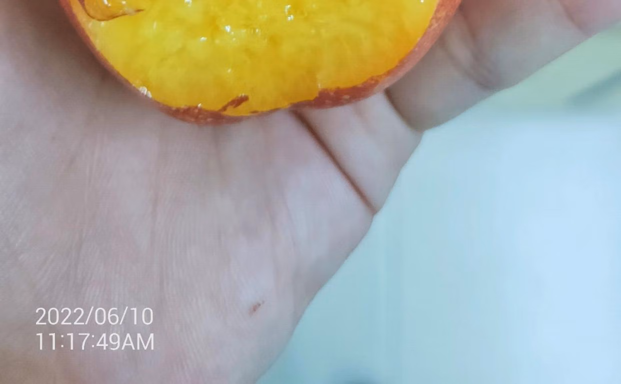 皓谦 黄心油桃脆甜大桃子新鲜水果当季整箱山东黄肉桃子孕妇蜜脆桃 油桃 5斤 精选果