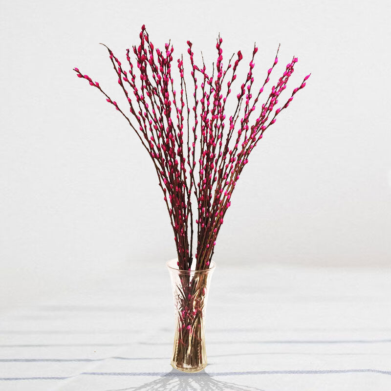 轻奢soumiety银柳真花鲜枝年宵花卉银柳干花彩色柳枝耐寒水培花卉米高