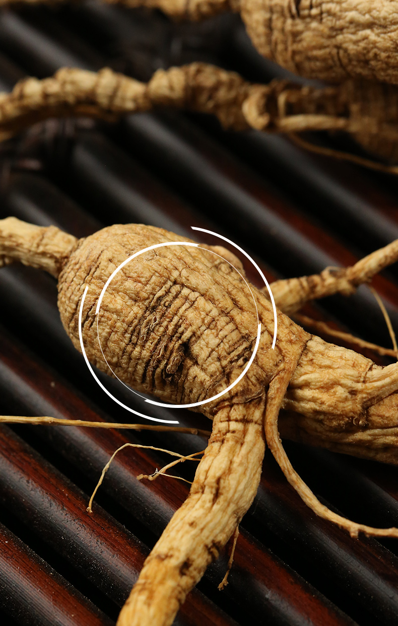 北京同仁堂20年林下参礼盒长白山人参野山参东北干参野生五枝装吉林山