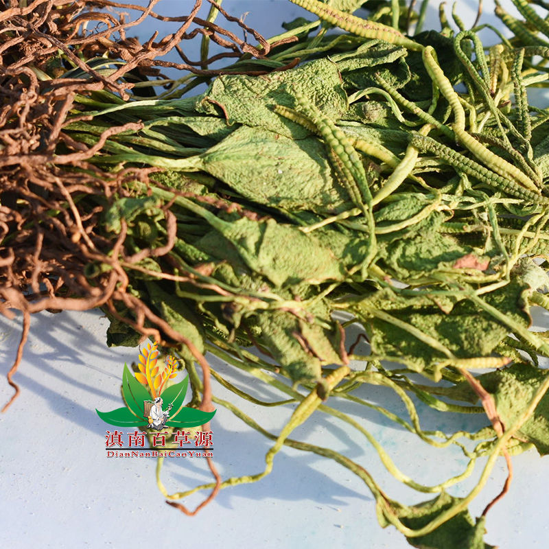 伟博伟博一支箭 蛇须草 新货精选无硫熏云南药材瓶儿小草 矛盾草 250