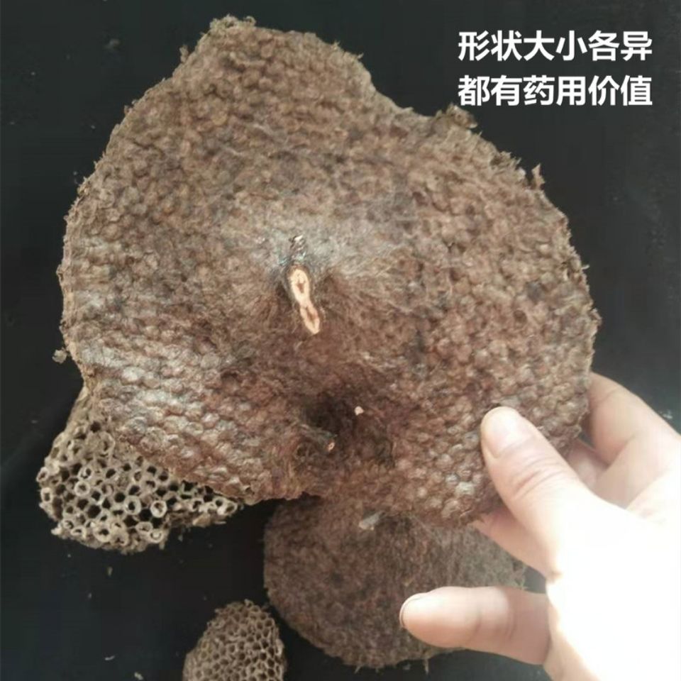 花初醒马蜂窝鲜蜂房蜂窝露蜂房胡蜂巢露蜂房硬蜂房官方直营蜂房1000克