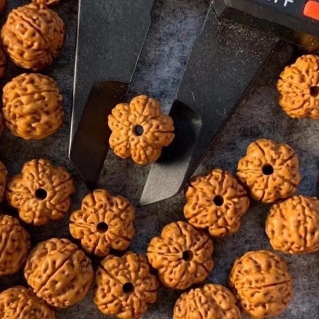 树王树祖一代小金刚菩提子手串108梅花桩龙鳞纹盘龙纹男原籽12mm108颗