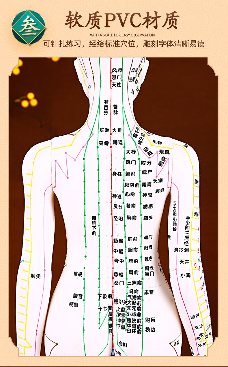 针灸人体模型 经络人体穴位模型 扎针练习小皮人人体经络穴位图 硬质