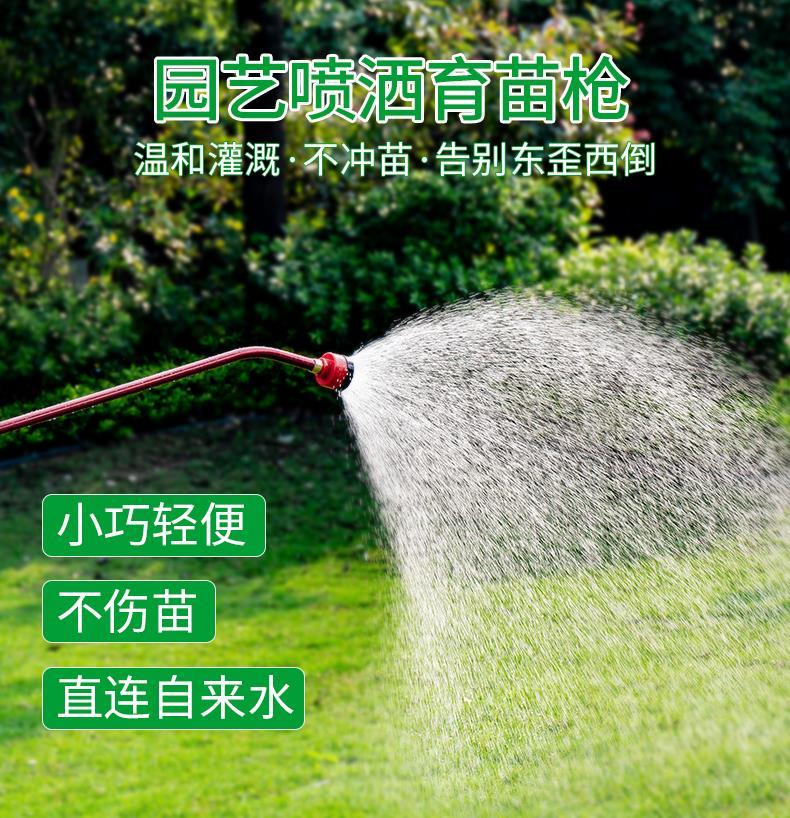 枪园艺花洒浇花育苗枪喷头浇菜农用洒水器长杆育苗枪20米四分管套餐