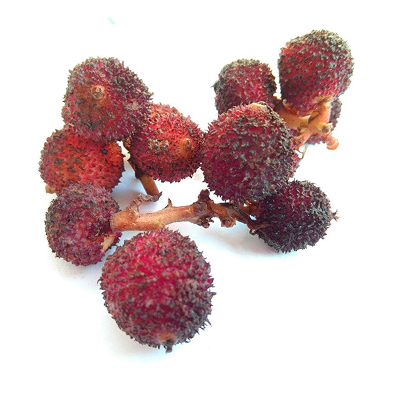 新鲜阳春砂仁正宗野生春砂仁果泡洒浸蜂蜜养胃湿砂仁干砂仁批发 1500