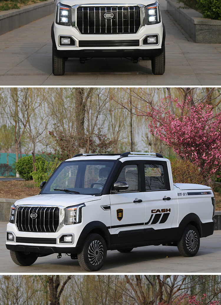 权琛电动四轮皮卡货车新能源电动汽车成人四轮轿车家用油电两用代步客