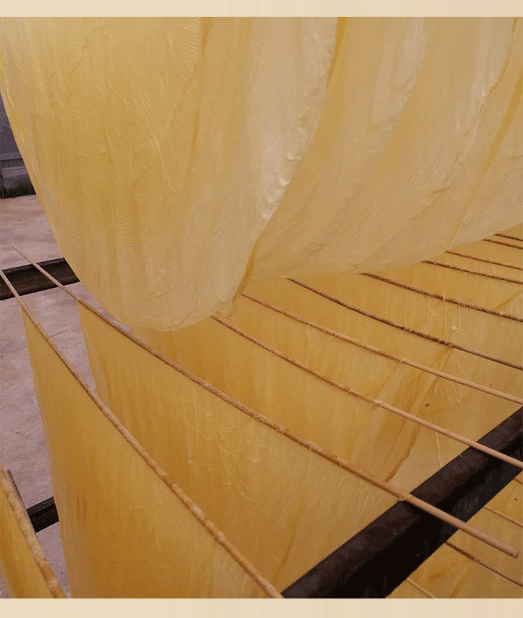 河南信阳农村土特产豆油皮豆腐皮手工制作豆筋原味食品浆皮10张