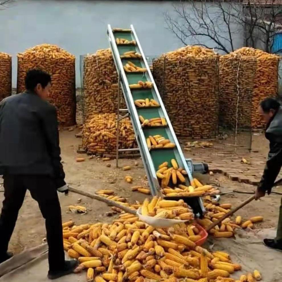 定制适用小型折叠玉米棒子输送机装车提升机小包装输送机茶叶粮食上料