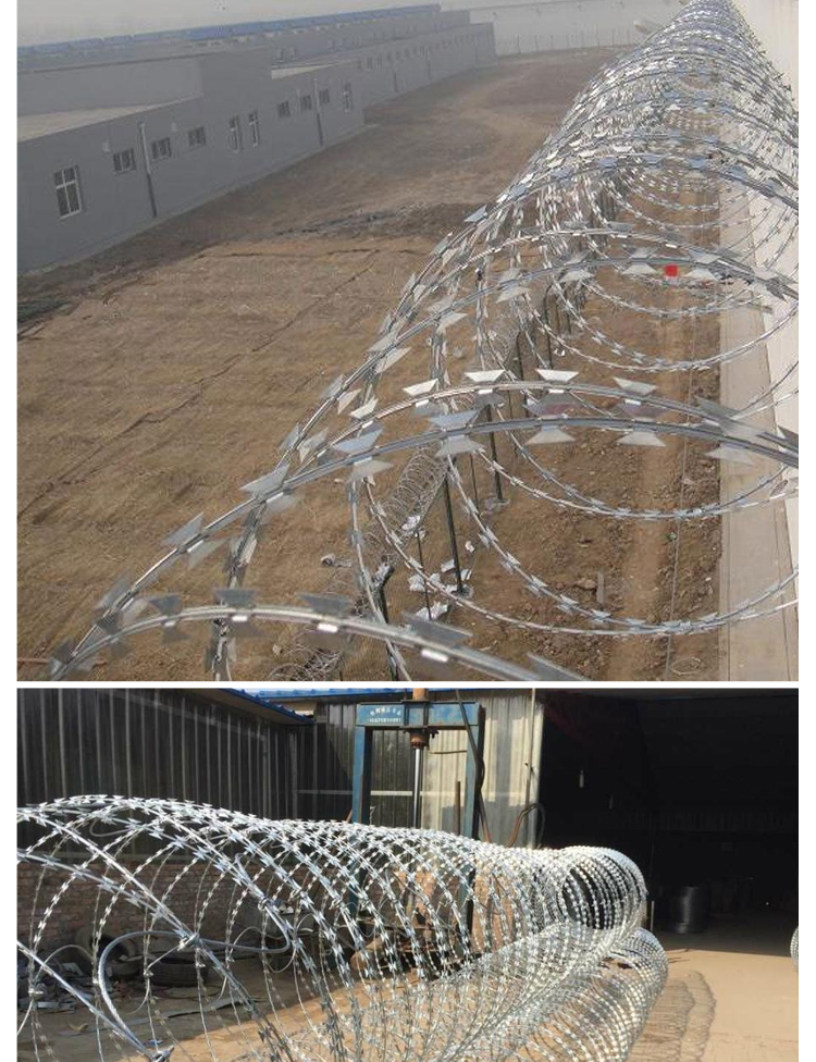 防盗网刀片刺绳围墙防护网刺丝滚笼刺铁丝铁蒺藜监狱网铁刺镀锌v型
