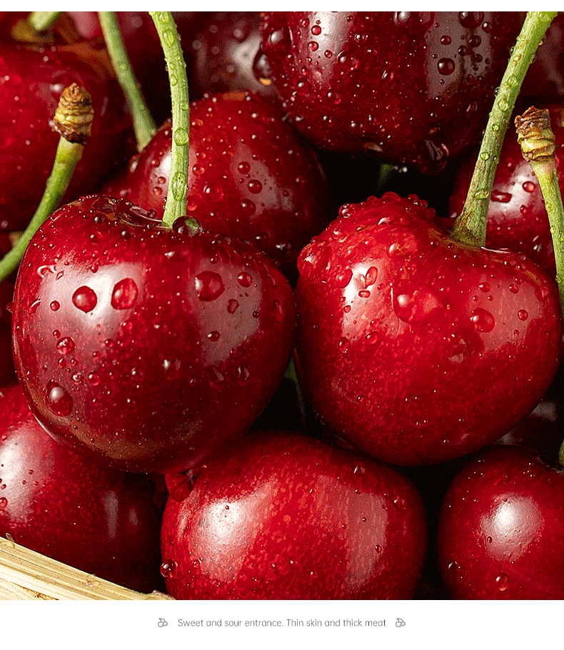 维吉尔大连樱桃现摘现发美早砂蜜豆水果车厘子新鲜整箱发货顺丰 2斤