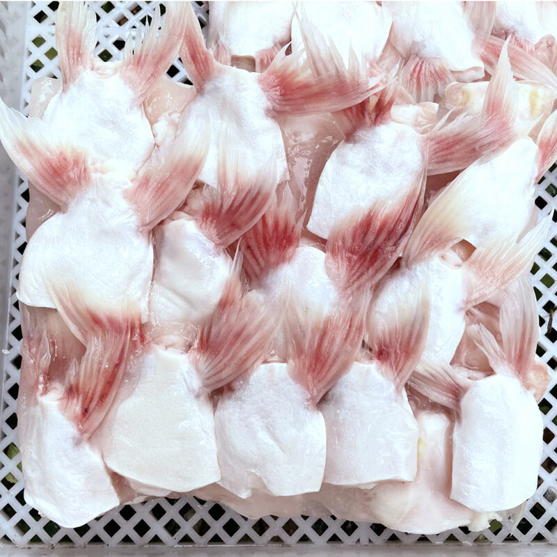 立兑新鲜冷冻巴沙鱼鱼鳍翅鮰鱼的翅龙利鱼下巴鱼肥油肥膘回鱼龙利鱼