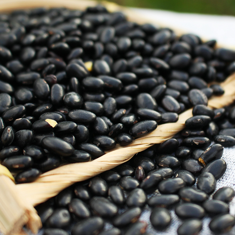 黑扁豆500g西北农家自产五谷杂粮可打豆浆