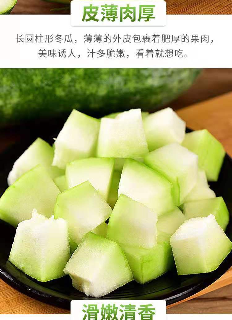 小冬瓜新鲜云南香冬瓜高山生态糯面蔬菜人工挑选精选装每天限50份34斤