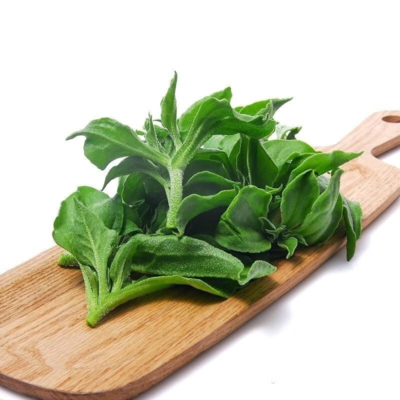 山东新鲜冰菜冰草农家新鲜蔬菜火锅菜沙拉菜冰叶新鲜冰菜沙拉菜【9月