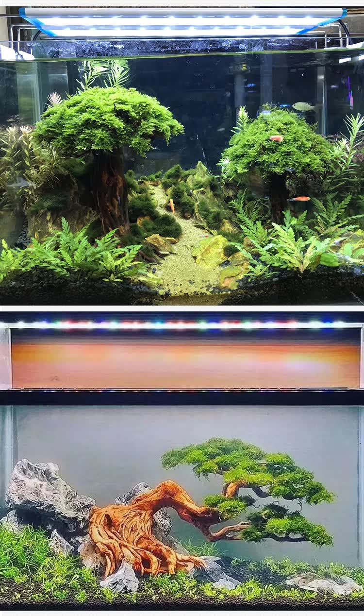 定制巴西沉木鱼缸水族箱造景一树成景迎客松巴西树沉木莫斯树制作