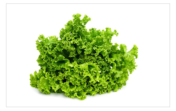 【顺丰】罗莎绿生菜 绿萝莎花叶生菜 新鲜蔬菜即食沙拉食材 500g