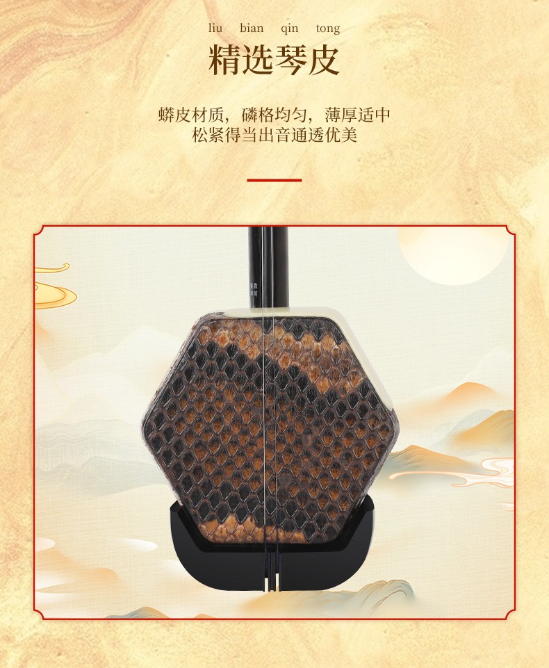敦煌牌二胡乐器演奏入门初学者练习考级二胡通用民族乐器一厂 05a酸枝