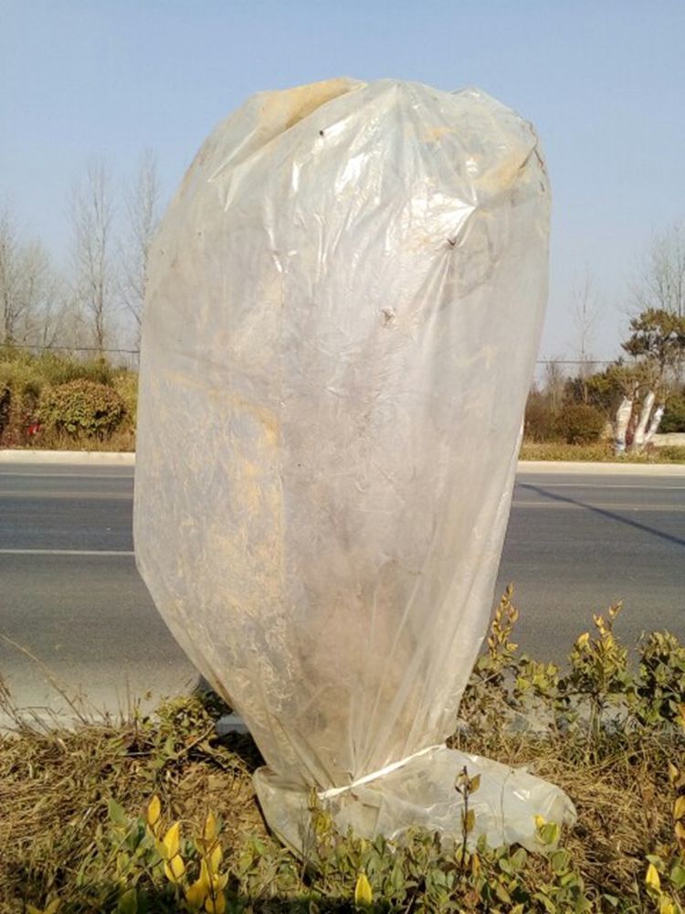 冬季植物果树苗防冻保温膜绿化花卉植物盆栽过冬防寒保温罩塑料布融暖