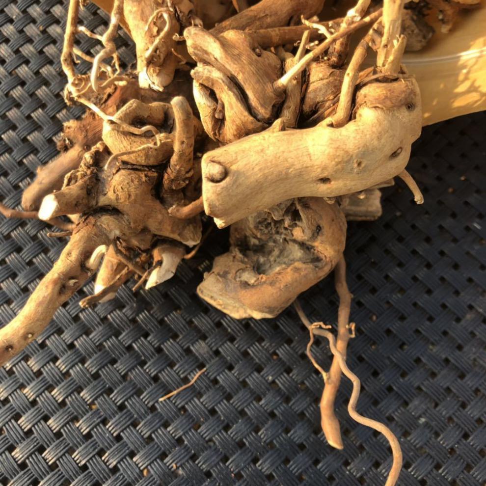 东北托莫根树莓根小兴安岭食品托摩根脱莫根大兴安岭 纯托莫根500g