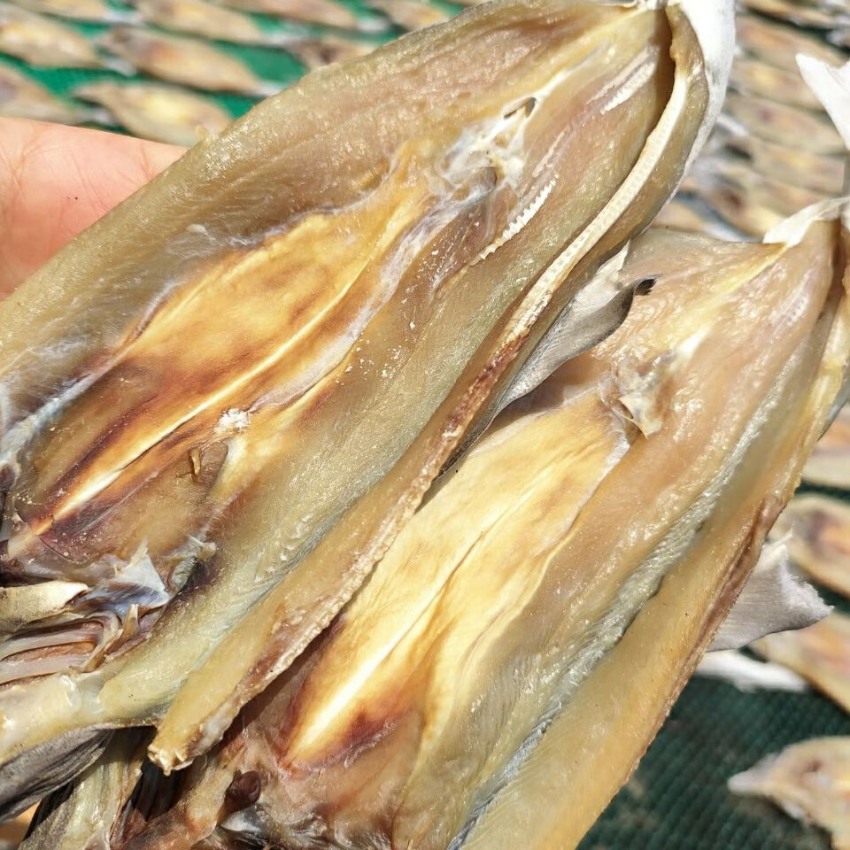 北海渔家自晒鲨鱼干咸鱼干海味干货海鲜水产特产礼礼品批发1000g大