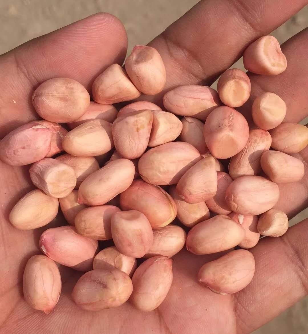 优质小颗粒白沙花生米 三斤【图片 价格 品牌 报价】-京东