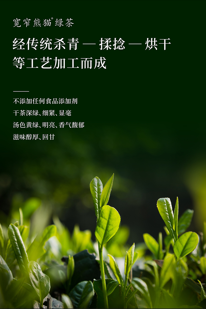 宽窄熊猫绿茶有机绿茶成都礼物伴手礼