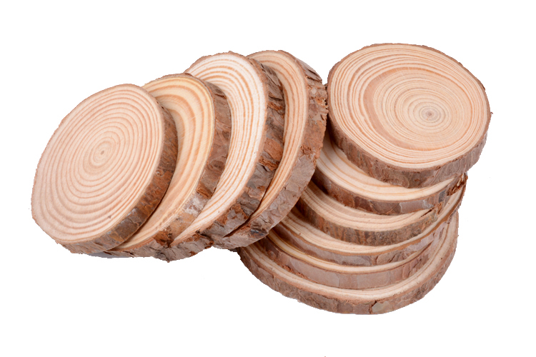 原木片年轮片圆木片手绘实木幼儿园装饰背景墙圆木片diy材料手工 17