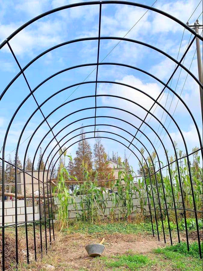 葡萄架爬不锈钢架花园拱门庭院户外紫不锈钢绿萝花支架拱形花架月季花