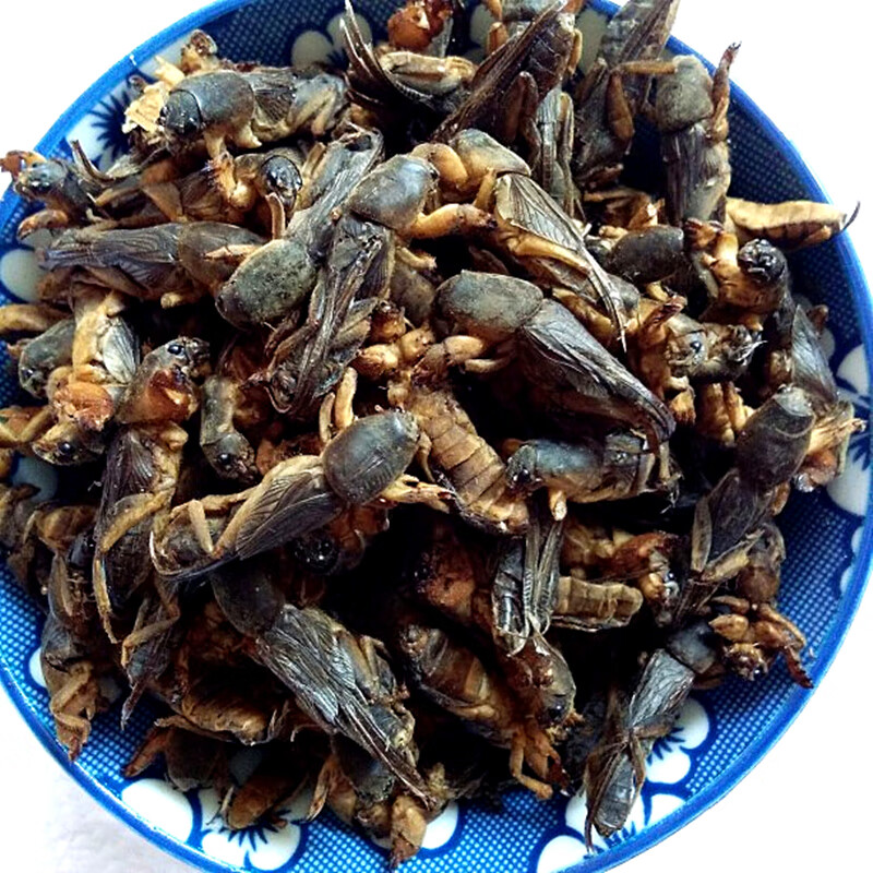 麦基乐中药材新货干蝼蛄 土狗 地狗 蝲蝲蛄250克店内另有皇虫五谷虫