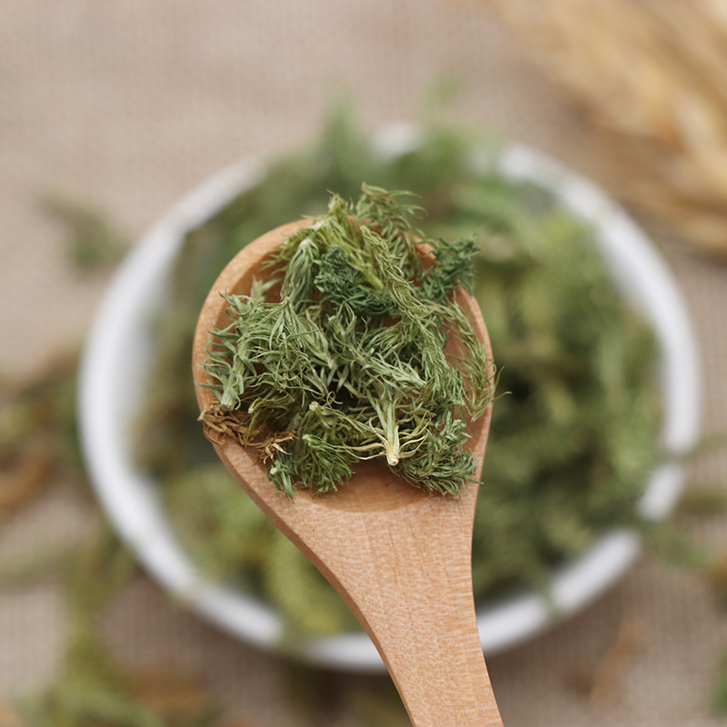 伸筋草 250g克马尾筋骨草泡脚 毛狮舒筋草石松狮子天然中药材【图片