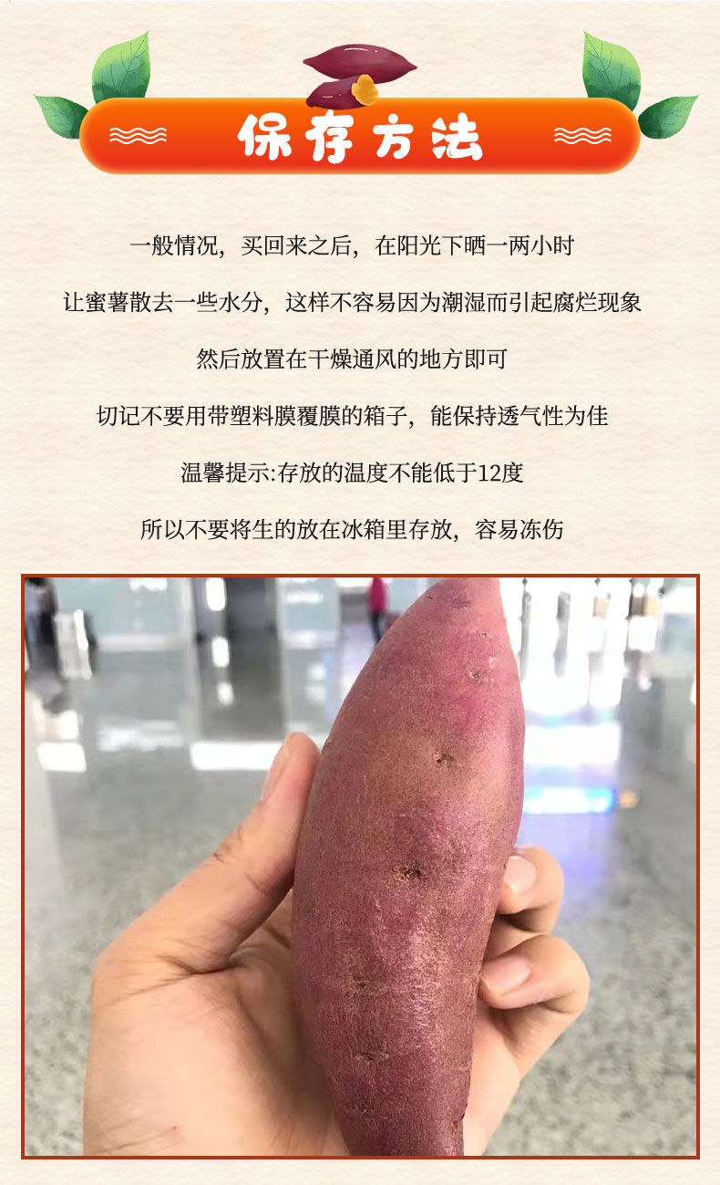 玛莎莉红薯品种简介图片