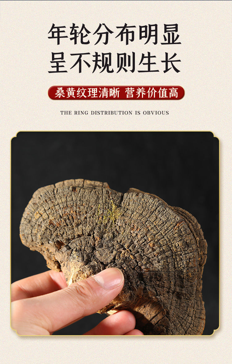 野生桑黄养生山货整枝打磨桑树灵芝长白山桑黄菌干品泡茶泡酒九九和仁