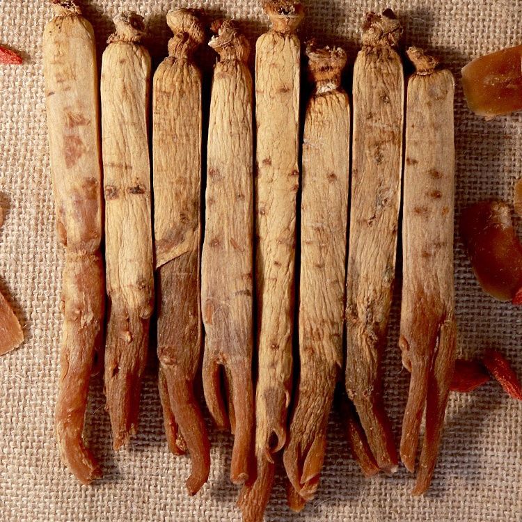 长白山无糖高丽参别直参红参人参8年根红参黄马褂沁溪250克8根袋装