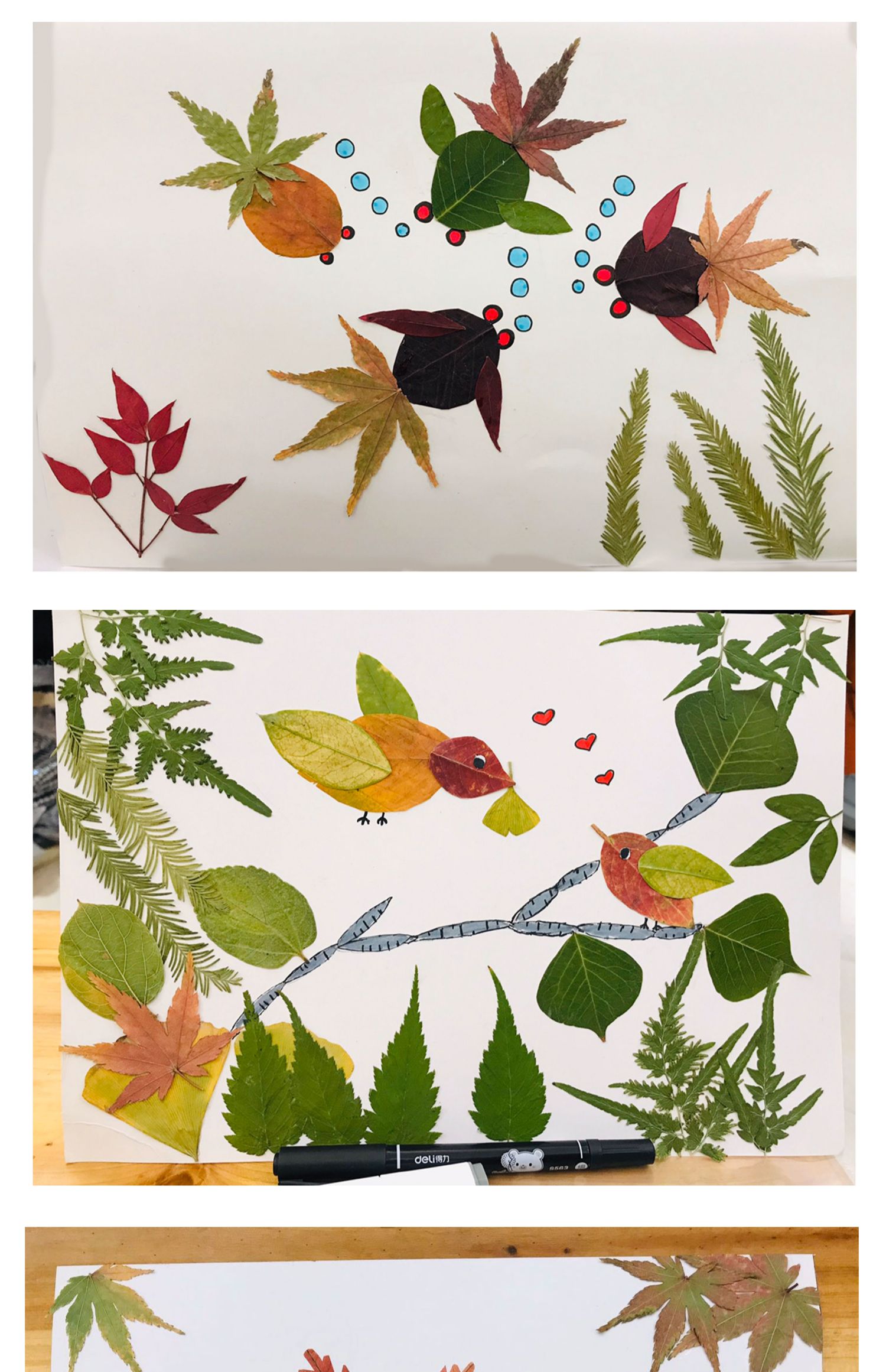 天然干树叶树叶标本干花diy手工装饰材料包植物书签压花幼儿园4包共