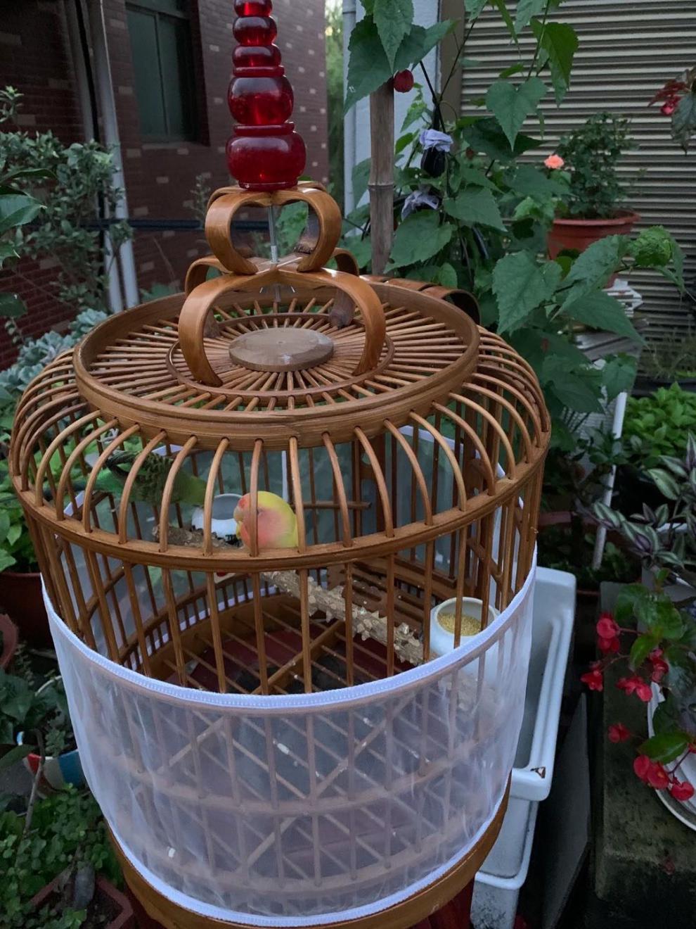 鸟笼防溅网鸟笼防溅罩鸟笼防溅纱网鸟笼罩防飞羽鸟笼防撒食罩 白色 s