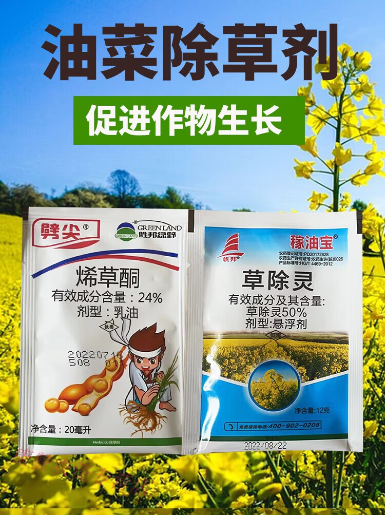 适用于油菜田除草剂苗后专用农药草除灵烯草酮禾阔双除油菜除草剂杂草