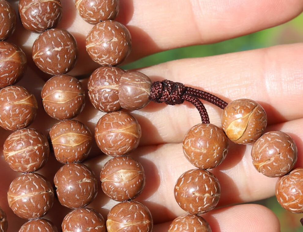 青鹊凰 大眼睛不漏眼凤眼佛珠 108颗尼泊尔酸枣核项链念珠菩提子 8.