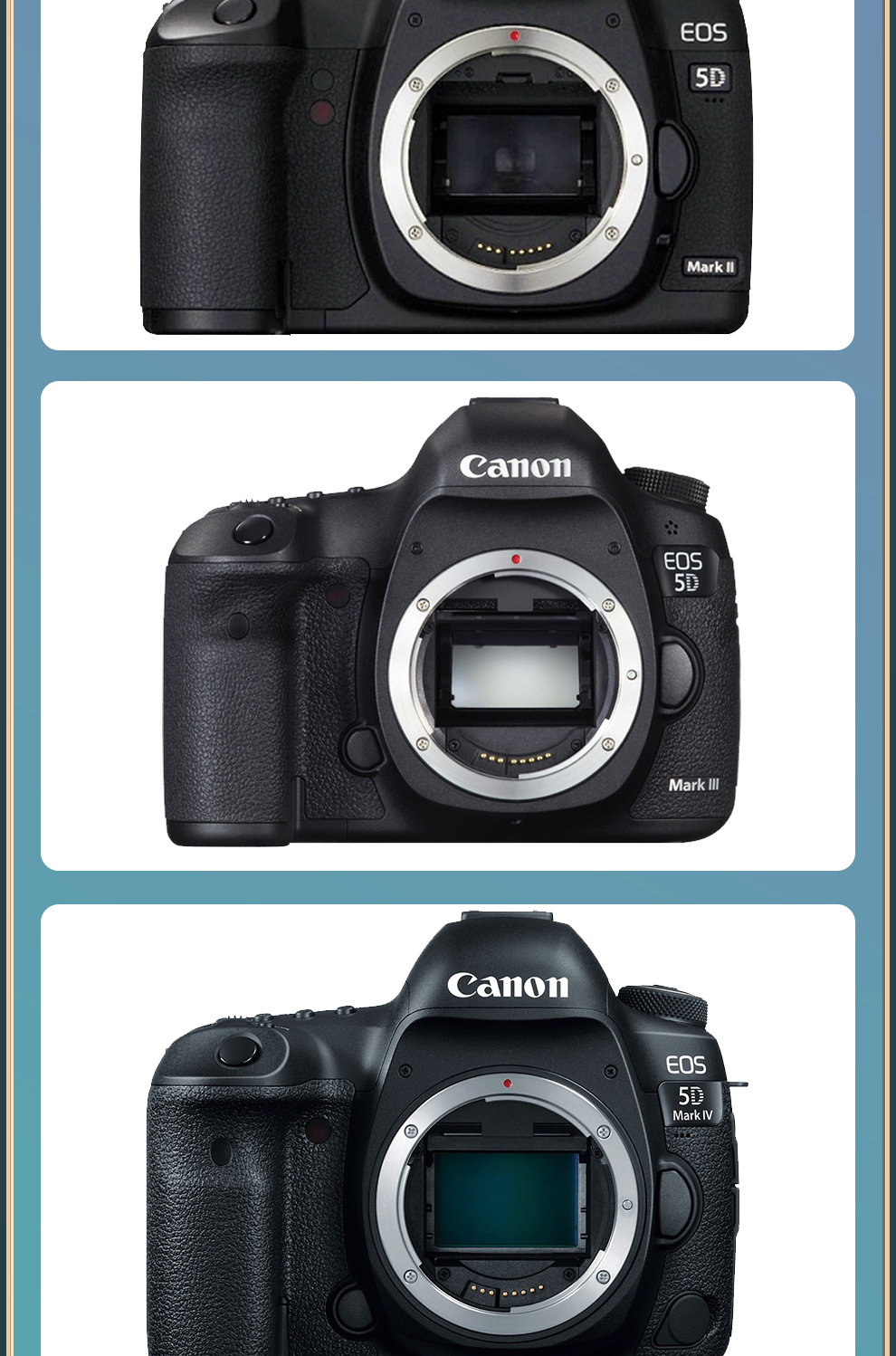 二手95新尼康d610d750d800d810d850全画福单反相机尼康d61024120f4