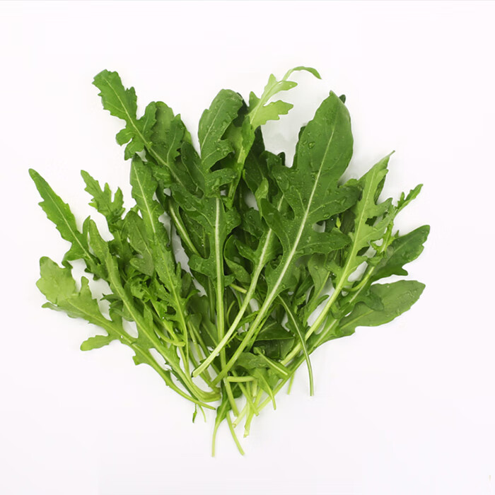 大叶臭菜种子芝麻菜种子四季香味可口清炒更香臭菜野菜种子芝麻菜种子