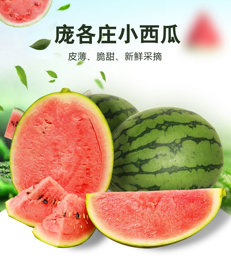 正儿八经庞各庄小西瓜水果新鲜沙瓤脆甜北京西瓜1个