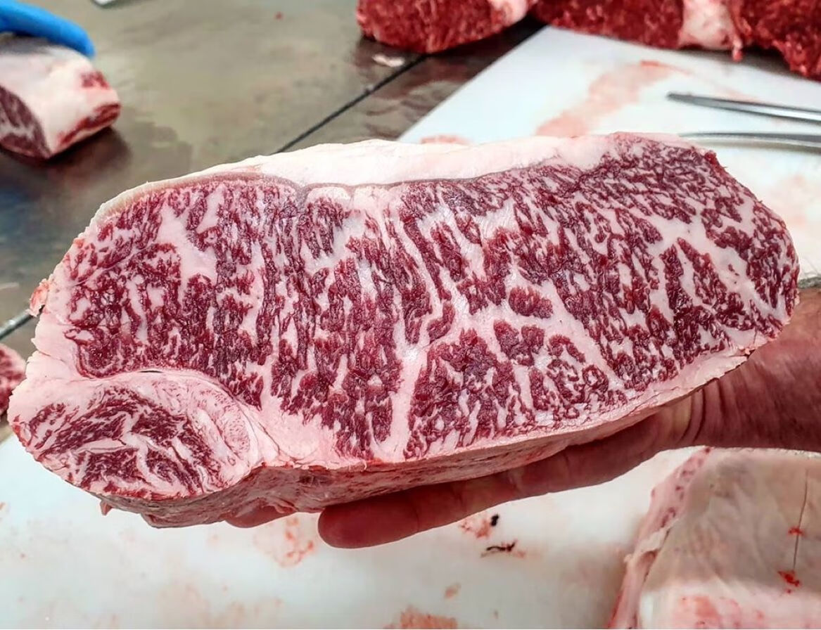 猪牛羊肉 牛肉 牛排 橙伯乐 澳州m9 和牛雪花西冷牛排500g顺丰纯血原