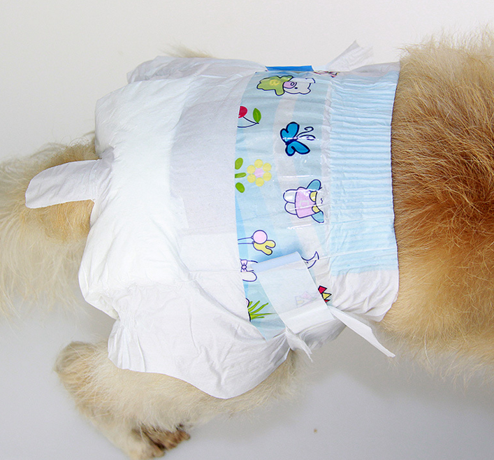 狗狗生理裤博美金毛幼犬穿戴裤泰迪纸尿裤小型宠物尿不湿宠物尿裤ss女
