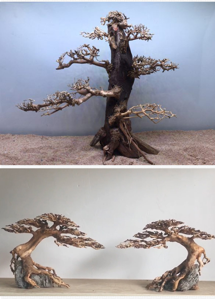 定制巴西沉木鱼缸水族箱造景一树成景迎客松巴西树沉木莫斯树制作