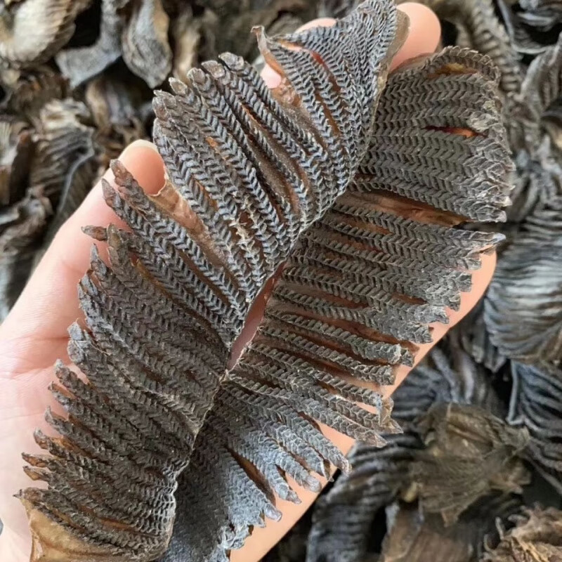 膨鱼鳃干货 虾鹏鳃干海味 干货海产品 广东煲汤材料 孕妇食品100g