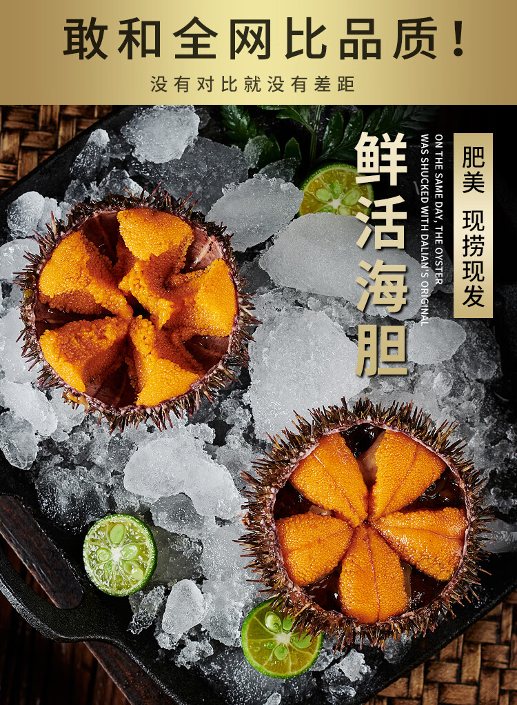 马粪海胆大连海胆鲜活海胆34个500g