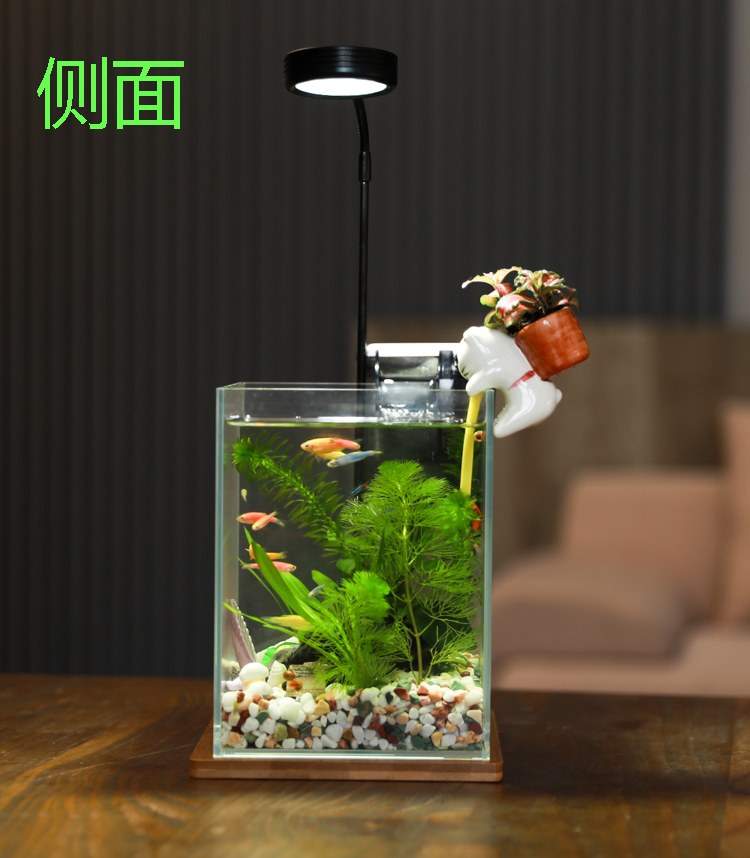 【当天发货】生态桌面鱼缸 创意真水草造景缸热带观赏鱼易打理免换水