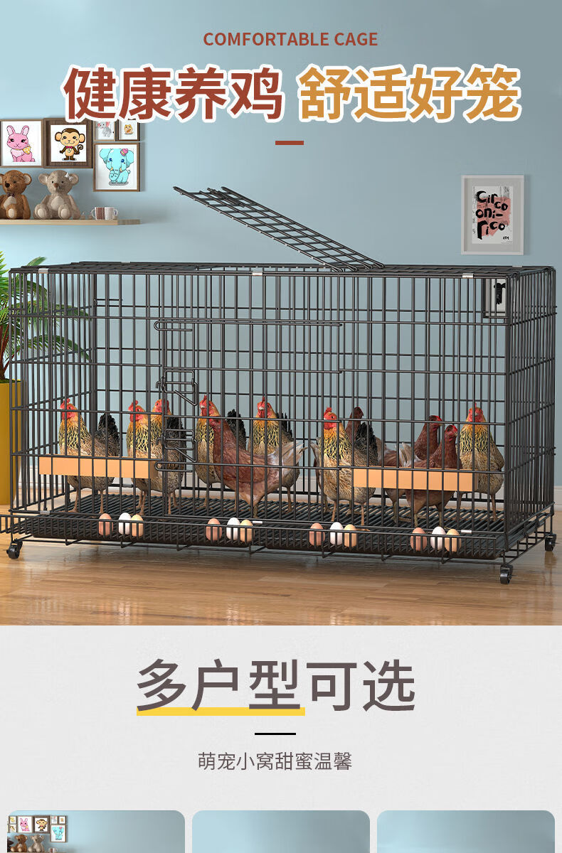 鸡笼子家用下蛋养鸡笼自动清粪滚蛋大号特大号鸡窝鸡舍折叠养殖笼带蛋