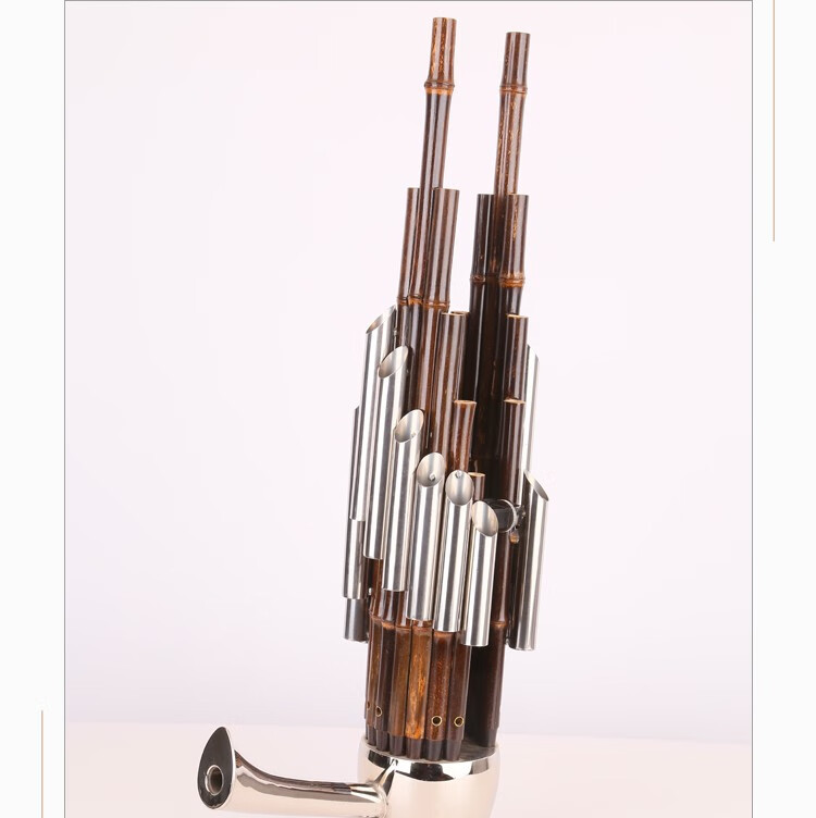 王氏民乐笙乐器精品紫竹扩音镶箍初学者14簧方笙专业演奏cd调14簧普及